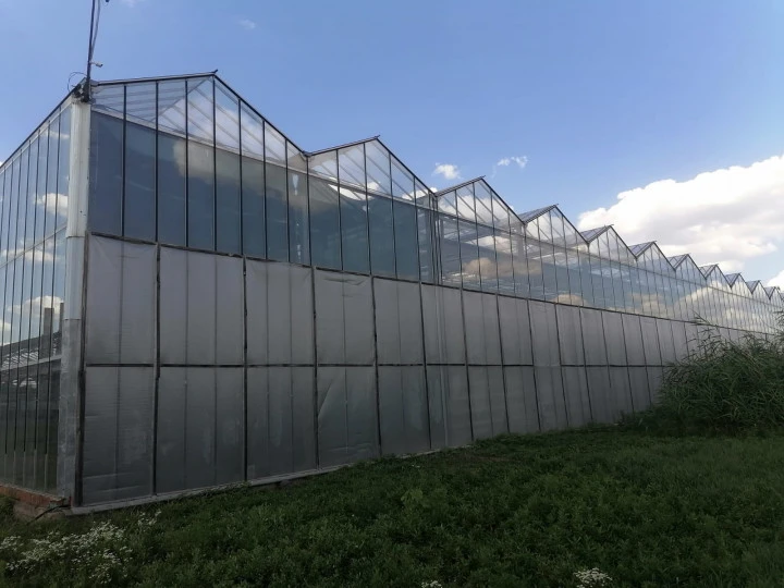 Тепличный комплекс "Калининский", Краснодарский край, ст-ца Калининская